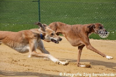 &copy;J&ouml;rg Bernschneider