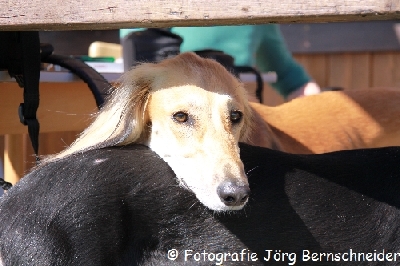 &copy;J&ouml;rg Bernschneider