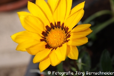 &copy;J&ouml;rg Bernschneider