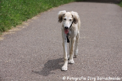&copy;J&ouml;rg Bernschneider
