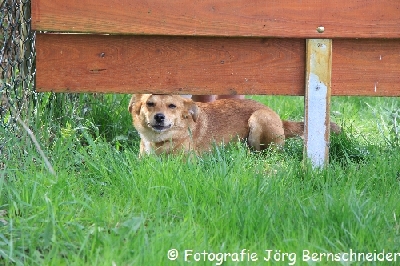 &copy;J&ouml;rg Bernschneider
