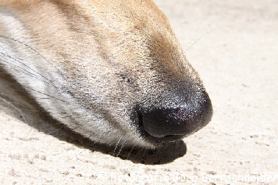 &copy;J&ouml;rg Bernschneider