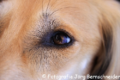 &copy;J&ouml;rg Bernschneider