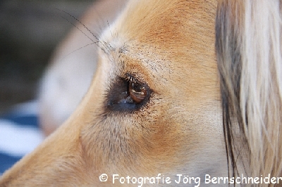 &copy;J&ouml;rg Bernschneider